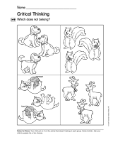 Position and Classification: Critical Thinking