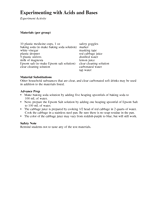 Experiment Activity: Experimenting with Acids and Bases